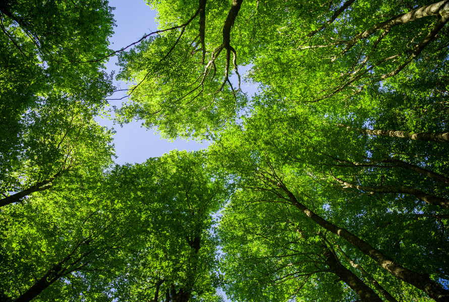 IoD November breakfast - How to Report on ESG and Climate Change