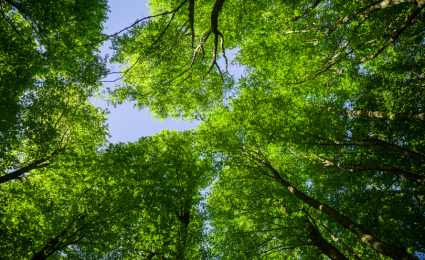 IoD November breakfast - How to Report on ESG and Climate Change