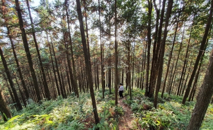 Sustainability and Climate Change - Understanding Directors’ Duties